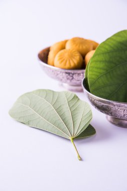 hint festivali dussehra veya vijayadashmi veya ayudh puja, gümüş kase geleneksel hint tatlılar pedha ile apta yaprağı veya Bauhinia racemosa gösteren