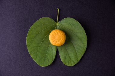 hint festivali dussehra veya vijayadashmi veya ayudh puja, gümüş kase geleneksel hint tatlılar pedha ile apta yaprağı veya Bauhinia racemosa gösteren