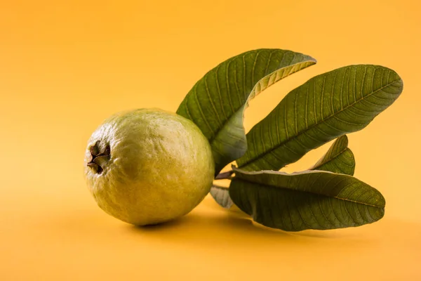 Frutas de goiaba ou Amrood ou Amrud ou peru isolado, foco seletivo — Fotografia de Stock