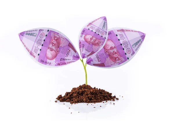 2000 rupi büyüyen bitki, para bitki, ağaç, para birimi ağacı, Hint Rupisi ve bitki, Hint Rupisi ve büyüme, Hint para birimi ve büyüme kavramı üzerinde para Hint yeni para birimi Not