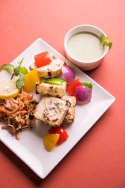Paneer tikka kebap - tandır Hint peyniri şişleri ya da yeşil soslu beyaz tabakta servis edilen kırmızı biber paneer ve renkli salata, seçici odaklı