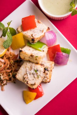 Paneer tikka kebap - tandır Hint peyniri şişleri ya da yeşil soslu beyaz tabakta servis edilen kırmızı biber paneer ve renkli salata, seçici odaklı