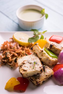 Paneer tikka kebap - tandır Hint peyniri şişleri ya da yeşil soslu beyaz tabakta servis edilen kırmızı biber paneer ve renkli salata, seçici odaklı