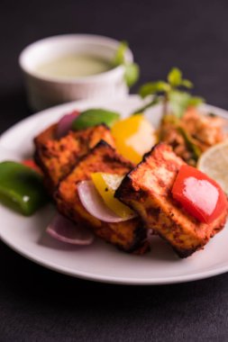 Paneer Tikka veya acı biber kebabı - Tandır Hint peyniri şişleri, beyaz tabakta servis edilir renkli kapsiyum, soğan ve yeşil sos ile
