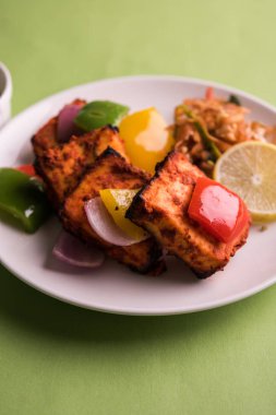 Paneer Tikka veya acı biber kebabı - Tandır Hint peyniri şişleri, beyaz tabakta servis edilir renkli kapsiyum, soğan ve yeşil sos ile