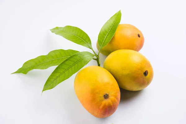 Rei das frutas; Alphonso amarelo Manga duo de frutas com caules e folha verde isolado em fundo branco, um produto de Konkan de Maharashtra - Índia — Fotografia de Stock