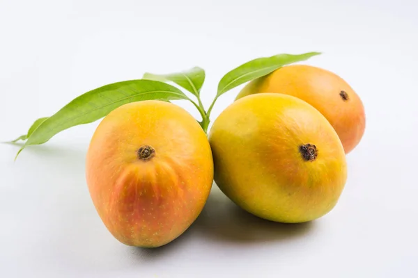 왕의 과일; 알폰소 노란색 망고 과일 듀오 녹색 줄기와 잎에 고립 된 흰색 배경, Konkan 라스트-인도에서 제품 — 스톡 사진