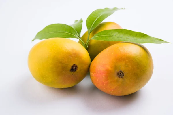 Re dei frutti; Alphonso giallo Mango duo di frutta con steli e foglie verdi isolate su sfondo bianco, un prodotto di Konkan dal Maharashtra - India — Foto Stock