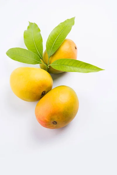Rey de frutas; Alphonso amarillo Dúo de frutas de mango con tallos y hojas verdes aisladas sobre fondo blanco, un producto de Konkan de Maharashtra - India — Foto de Stock
