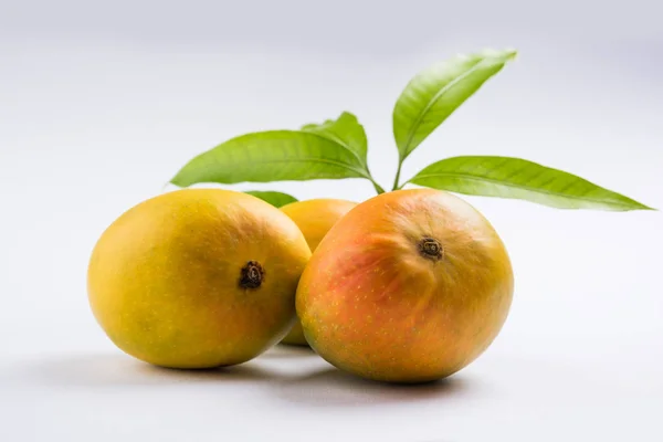 Re dei frutti; Alphonso giallo Mango duo di frutta con steli e foglie verdi isolate su sfondo bianco, un prodotto di Konkan dal Maharashtra - India — Foto Stock