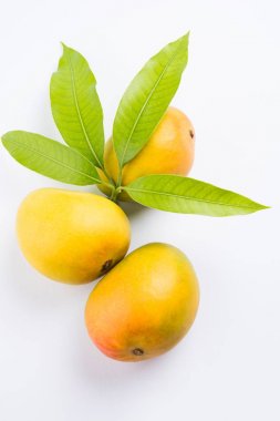 Meyve kralı; Alphonso sarı Mango meyve ikilisi ile kaynaklanıyor ve yaprak yeşil kamışı sepet, Maharashtra - Hindistan üzerinden Konkan bir ürün içinde beyaz arka plan üzerinde izole