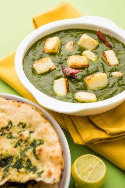 Hint köri çanak - ıspanak ve peynir, oluşan Palak paneer beyaz kase, seçici odak görev yaptı.
