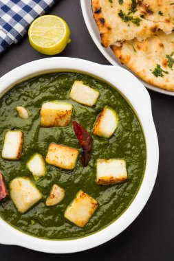 Hint köri çanak - ıspanak ve peynir, oluşan Palak paneer beyaz kase, seçici odak görev yaptı.