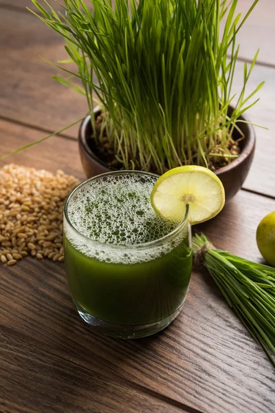 Ayurvedischer oder medizinischer Weizengrassaft mit Zitronenscheibe im Glas, selektiver Fokus — Stockfoto