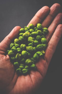 Taze yeşil nohut veya nohut olarak da bilinen harbara veya harbhara Hintçe ve nohut bir ahşap kase veya plaka servis bilimsel adıdır. seçici odak