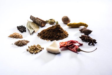 Hint baharat karışımı. Garam masala kazık beyaz kase veya beyaz arka planda. Seçici odak