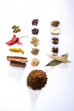 Hint baharat karışımı. Garam masala kazık beyaz kase veya beyaz arka planda. Seçici odak