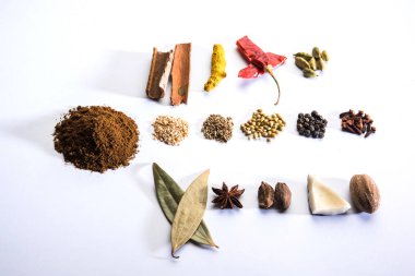 Hint baharat karışımı. Garam masala kazık beyaz kase veya beyaz arka planda. Seçici odak