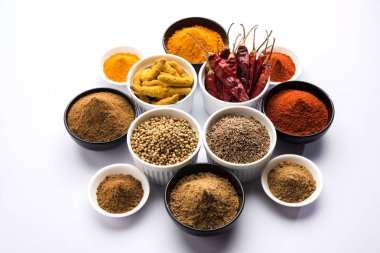 Hint renkli baharat. Dört temel Hint baharat çiğ kırmızı biber, zerdeçal, kişniş ve kimyon tozu gibi grup fotoğrafı. seçici odak