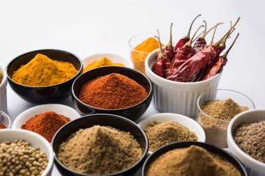 Hint renkli baharat. Dört temel Hint baharat çiğ kırmızı biber, zerdeçal, kişniş ve kimyon tozu gibi grup fotoğrafı. seçici odak