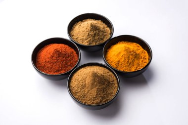 Hint renkli baharat. Dört temel Hint baharat çiğ kırmızı biber, zerdeçal, kişniş ve kimyon tozu gibi grup fotoğrafı. seçici odak