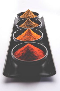 Hint renkli baharat. Dört temel Hint baharat çiğ kırmızı biber, zerdeçal, kişniş ve kimyon tozu gibi grup fotoğrafı. seçici odak