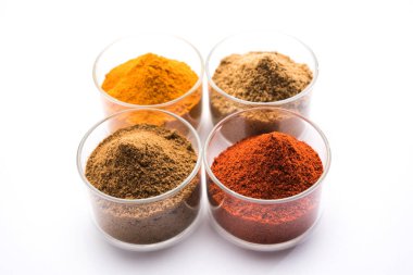 Hint renkli baharat. Dört temel Hint baharat çiğ kırmızı biber, zerdeçal, kişniş ve kimyon tozu gibi grup fotoğrafı. seçici odak