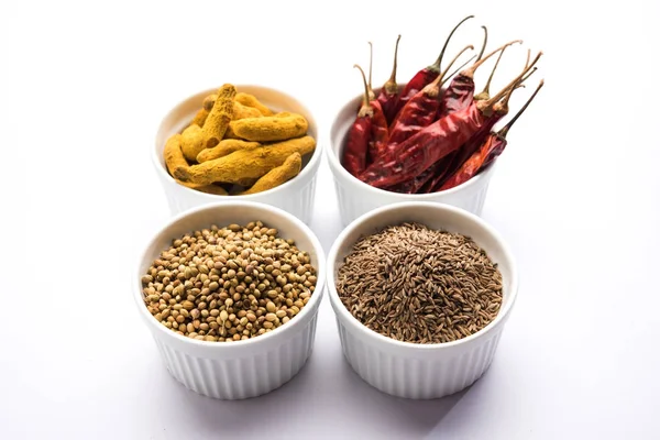 Indian Colourful Spices Group Photo Four Basic Indian Spices Raw — Stock Photo, Image