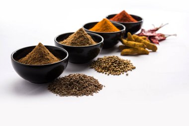 Hint renkli baharat. Dört temel Hint baharat çiğ kırmızı biber, zerdeçal, kişniş ve kimyon tozu gibi grup fotoğrafı. seçici odak