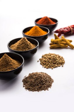 Hint renkli baharat. Dört temel Hint baharat çiğ kırmızı biber, zerdeçal, kişniş ve kimyon tozu gibi grup fotoğrafı. seçici odak
