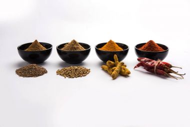 Hint renkli baharat. Dört temel Hint baharat çiğ kırmızı biber, zerdeçal, kişniş ve kimyon tozu gibi grup fotoğrafı. seçici odak