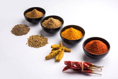 Hint renkli baharat. Dört temel Hint baharat çiğ kırmızı biber, zerdeçal, kişniş ve kimyon tozu gibi grup fotoğrafı. seçici odak