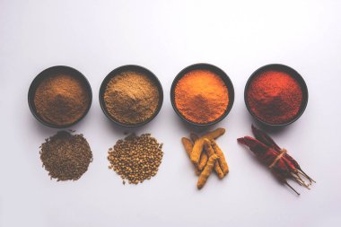 Hint renkli baharat. Dört temel Hint baharat çiğ kırmızı biber, zerdeçal, kişniş ve kimyon tozu gibi grup fotoğrafı. seçici odak