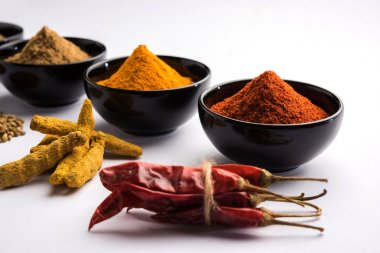 Hint renkli baharat. Dört temel Hint baharat çiğ kırmızı biber, zerdeçal, kişniş ve kimyon tozu gibi grup fotoğrafı. seçici odak