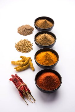 Hint renkli baharat. Dört temel Hint baharat çiğ kırmızı biber, zerdeçal, kişniş ve kimyon tozu gibi grup fotoğrafı. seçici odak