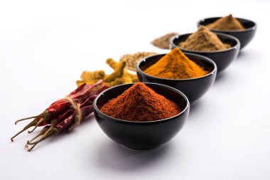 Hint renkli baharat. Dört temel Hint baharat çiğ kırmızı biber, zerdeçal, kişniş ve kimyon tozu gibi grup fotoğrafı. seçici odak