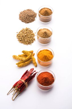 Hint renkli baharat. Dört temel Hint baharat çiğ kırmızı biber, zerdeçal, kişniş ve kimyon tozu gibi grup fotoğrafı. seçici odak