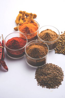 Hint renkli baharat. Dört temel Hint baharat çiğ kırmızı biber, zerdeçal, kişniş ve kimyon tozu gibi grup fotoğrafı. seçici odak
