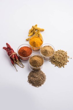 Hint renkli baharat. Dört temel Hint baharat çiğ kırmızı biber, zerdeçal, kişniş ve kimyon tozu gibi grup fotoğrafı. seçici odak