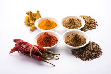 Hint renkli baharat. Dört temel Hint baharat çiğ kırmızı biber, zerdeçal, kişniş ve kimyon tozu gibi grup fotoğrafı. seçici odak
