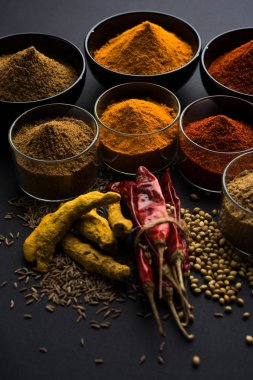 Hint renkli baharat. Dört temel Hint baharat çiğ kırmızı biber, zerdeçal, kişniş ve kimyon tozu gibi grup fotoğrafı. seçici odak