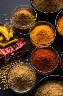 Hint renkli baharat. Dört temel Hint baharat çiğ kırmızı biber, zerdeçal, kişniş ve kimyon tozu gibi grup fotoğrafı. seçici odak