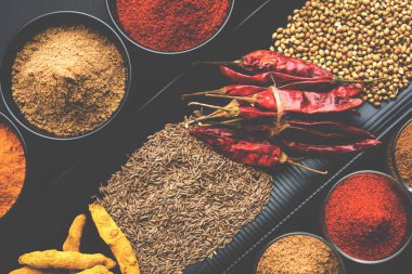 Hint renkli baharat. Dört temel Hint baharat çiğ kırmızı biber, zerdeçal, kişniş ve kimyon tozu gibi grup fotoğrafı. seçici odak