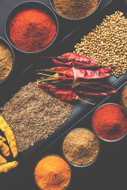 Hint renkli baharat. Dört temel Hint baharat çiğ kırmızı biber, zerdeçal, kişniş ve kimyon tozu gibi grup fotoğrafı. seçici odak