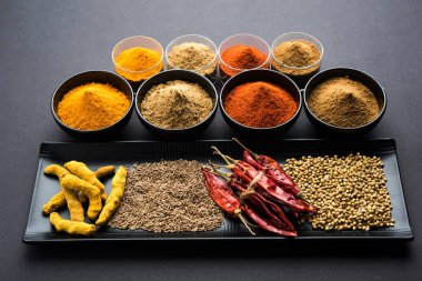 Hint renkli baharat. Dört temel Hint baharat çiğ kırmızı biber, zerdeçal, kişniş ve kimyon tozu gibi grup fotoğrafı. seçici odak