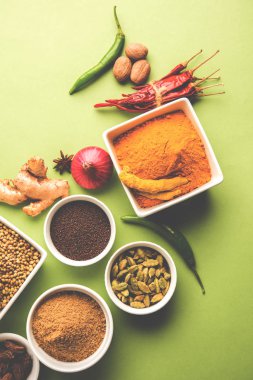 Ham Hint baharat toz kırmızı, sarı veya yeşil arka plan, seçici odak üzerinde