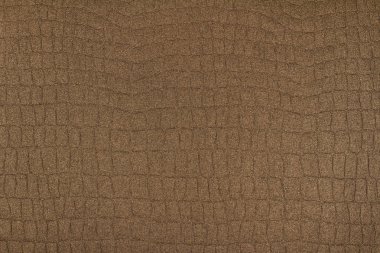 Vintage Timsah Cilt kağıt doku arka plan