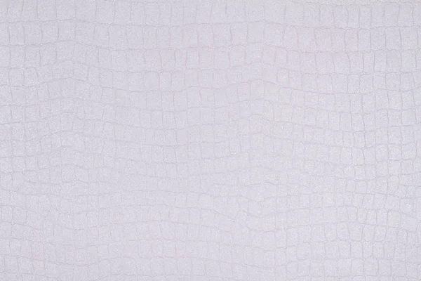 Kağıt doku arka plan beyaz timsahın derisini — Stok fotoğraf