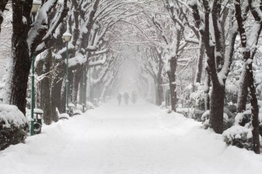 insanlar kışın bir park sokakta yürürken, insanlar