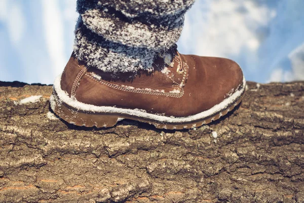 Vinter vandring i vildmarken — Stockfoto